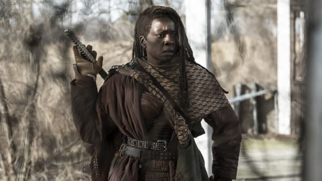 The Walking Dead : les survivants ravivent la saga “Richonne” de Rick et Michonne