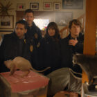 Animal Control TV show on FOX: canceled or renewed for season 3?