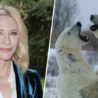 Our Living World, Netflix Nature Doc Narrated By Cate Blanchett: EXCLUSIVE