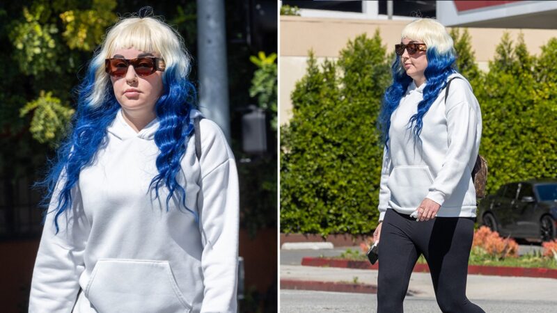 Amanda Bynes réapparaît en public avec une nouvelle apparence étonnante
