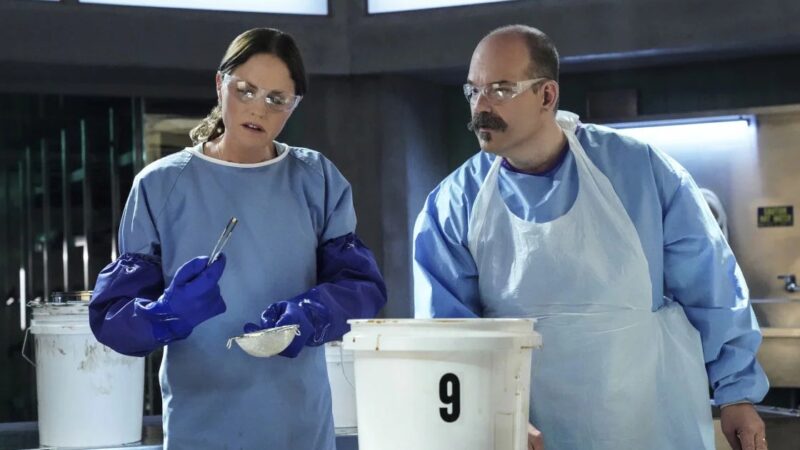 CSI: Vegas Saison 2 : plongée captivante dans l’univers du glamour et de la criminalité à Las Vegas
