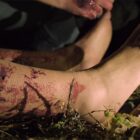 Content Partners acquires factual series Forensic Files from Medstar TV | News