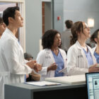 Grey's Anatomy on ABC: cancelled or season 21? - canceled + renewed TV shows, ratings