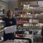 Diane Farr as Sharon Leone and Billy Burke as Vince Leone — 