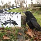 The Crow Girl is a tense British thriller currently filming in Bristol.