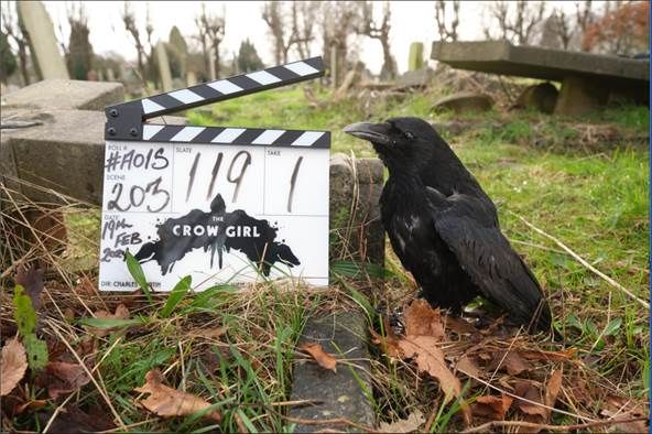 The Crow Girl : Date de sortie, intrigue et casting de la série Paramount Plus