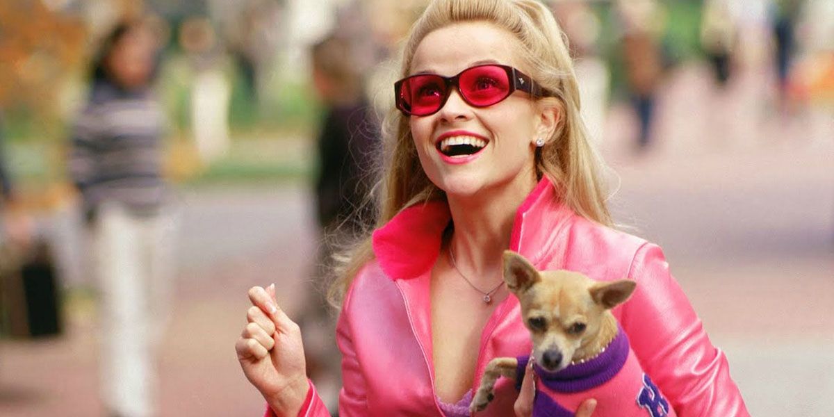 Universe Legally Blonde : Nouvelle série en préparation sur Amazon