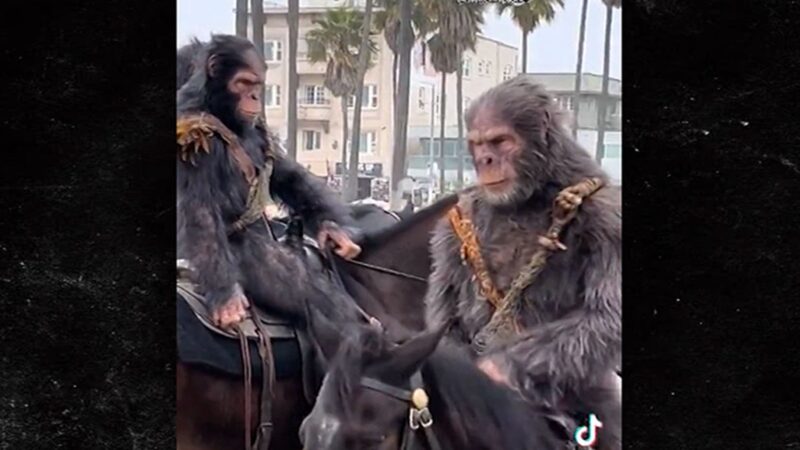 Les singes à cheval envahissent Venice Beach dans une incroyable promo