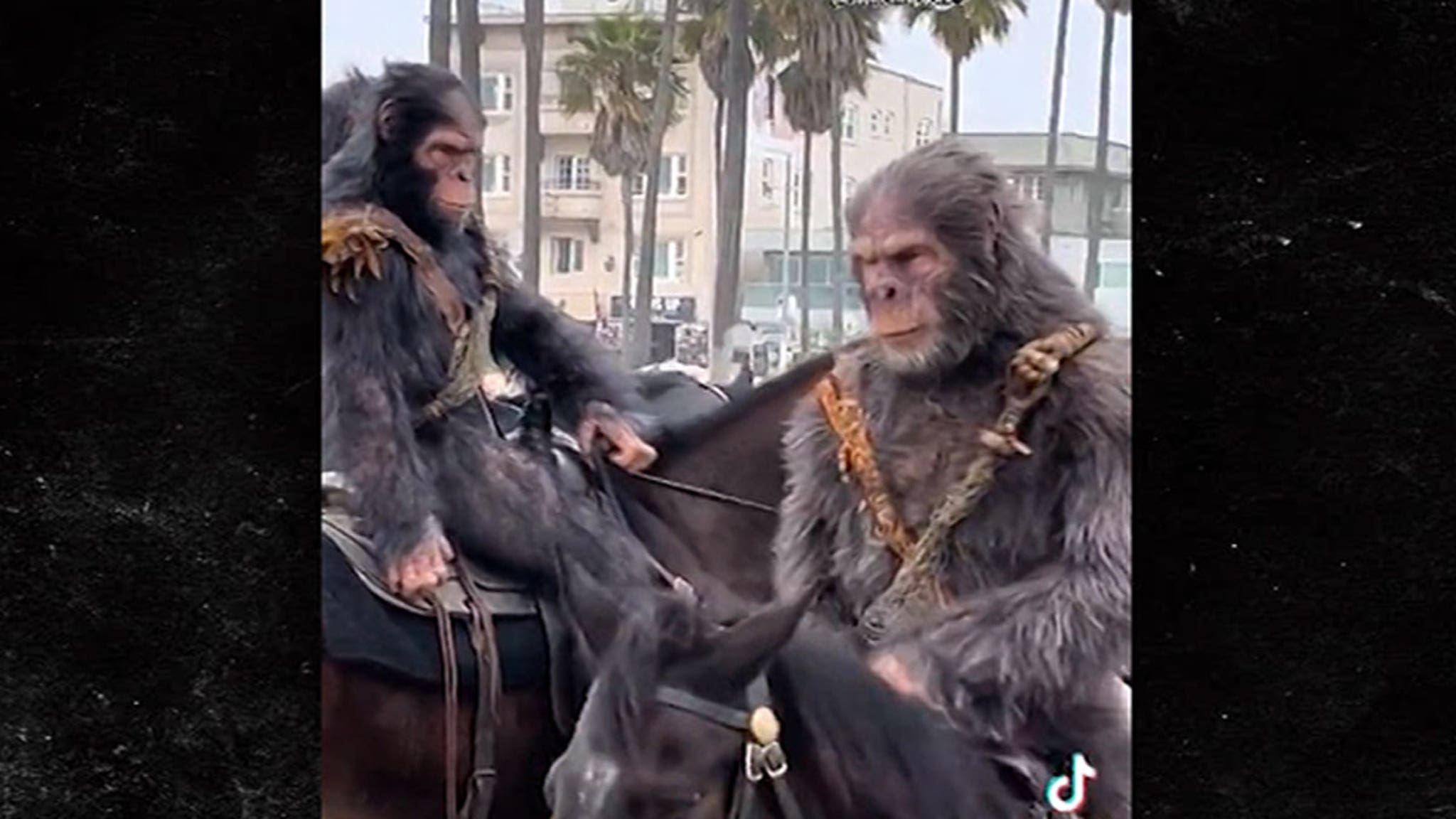 Les singes à cheval envahissent Venice Beach dans une incroyable promo