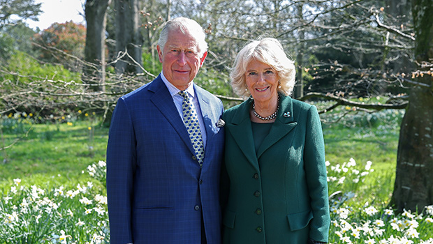 Article sur la santé de King Charles III mise à jour août 2024