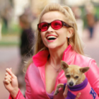 'Legally Blonde' Spinoff Series Coming from Reese Witherspoon, MGM