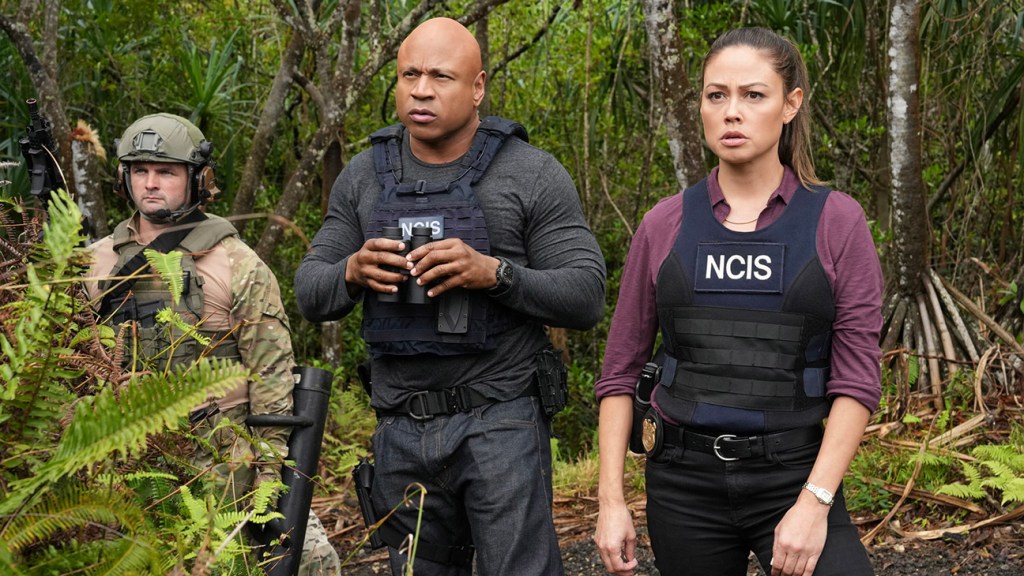 CBS annule NCIS: Hawai’i après trois saisons