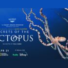 Learn the 'Secrets of the Octopus' When It Premieres on Nat Geo TV and Disney+