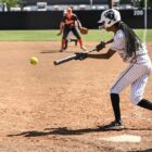 Softball Splits Doubleheader Sunday - Harding University Athletics