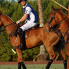 Prince Harry Hits the Polo Field in Front of Netflix Cameras