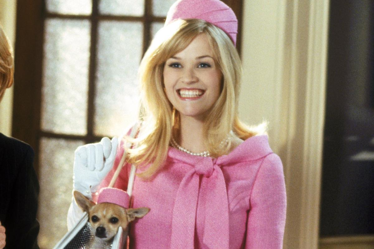 Le film Legally Blonde 3 toujours incertain, les scénaristes s’expriment