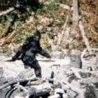 It’s fuzzy. It’s blurry. It’s weird and alarming. But the so-called Patterson-Gimlin film fragment from 1967, which purports to show Bigfoot ambling off into the Northern California woods, has never been debunked.
