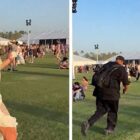 Paris Hilton Recreates Her Viral 2022 Coachella Security Chase Video