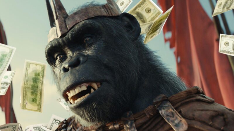 The Kingdom of the Planet of the Apes : gros succès au box-office