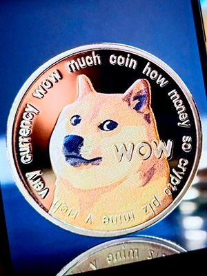Décès de Kabosu, le célèbre chien du meme Doge : hommage émouvant.