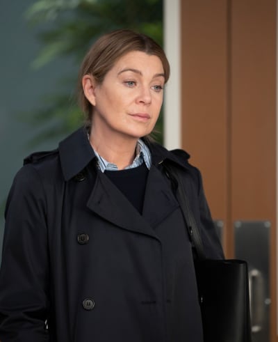 Clashing with Catherine - Grey's Anatomy Season 20 Episode 10