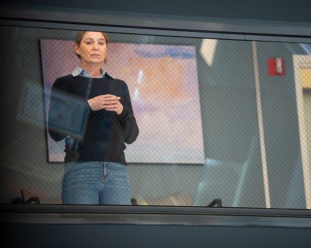 Catherine, la nouvelle méchante de Grey Sloan : une analyse profonde de la saison 20