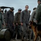 Why several World War II TV shows have been released recently