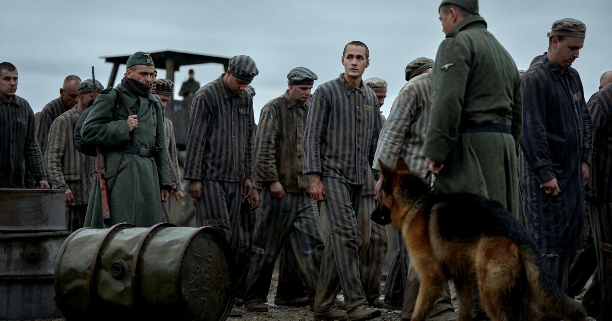 Découvrez les nouvelles séries sur la Seconde Guerre mondiale en streaming