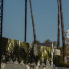 Sony, Apollo Express Interest in Buying Paramount