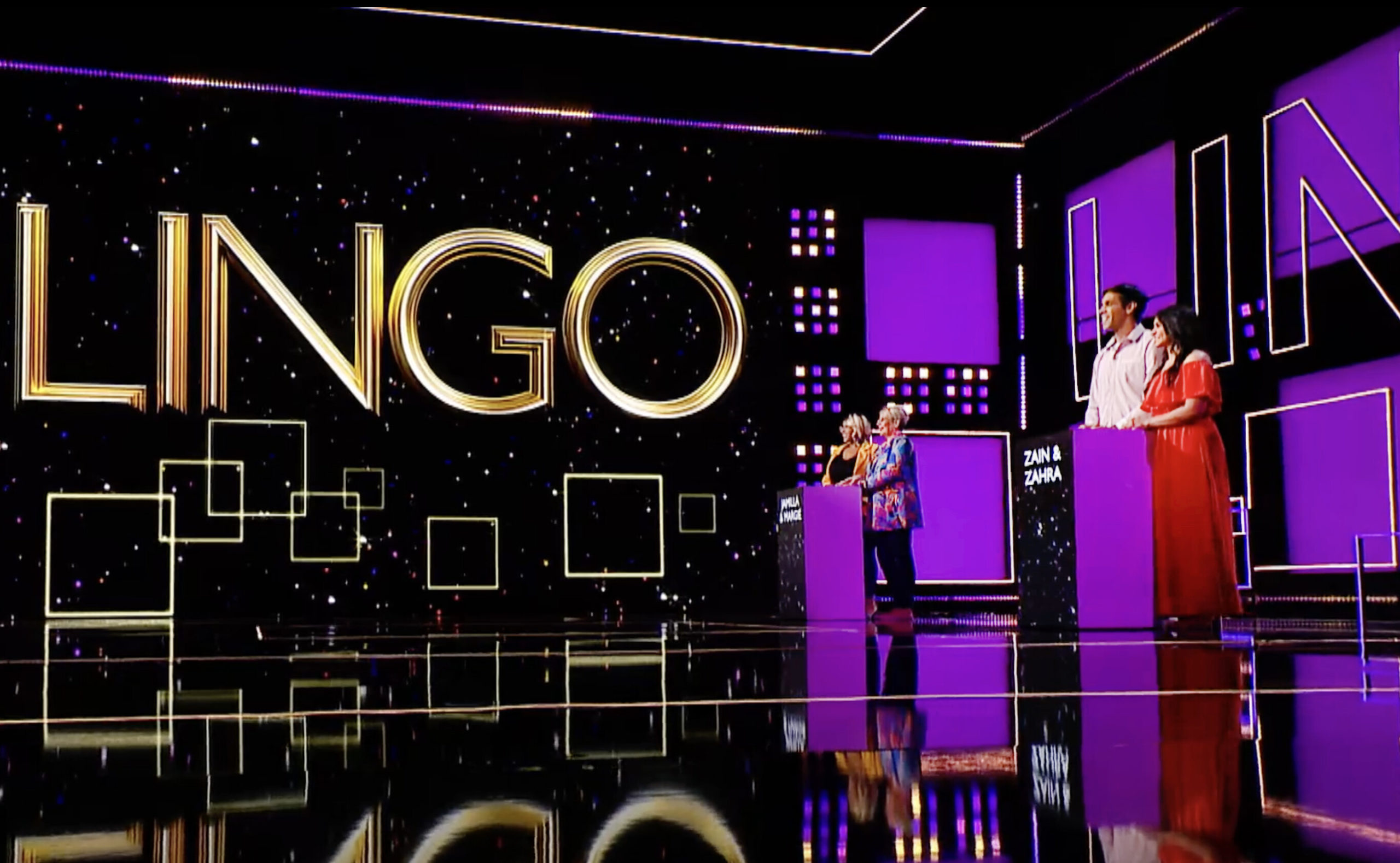 Lingo : La série TV sur CBS en danger pour une saison 3