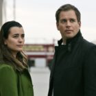 Cote de Pablo and Michael Weatherly in NCIS