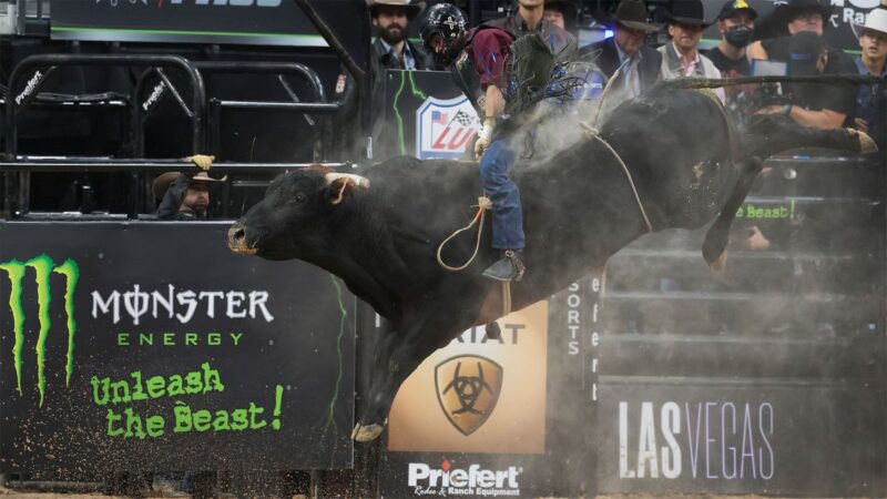 PBR World Finals 2024 : Comment regarder en direct depuis n’importe où ?