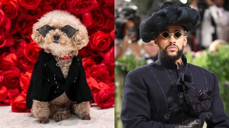 Pet Gala 2024 : Des Chiens Habillés comme des Stars au Musée du Chien