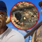 Jackie Robinson Statue Thief Pleads Guilty, Facing 19 Years In Prison