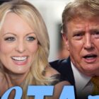 PETA Asks Stormy Daniels To Star in Anti-Horse Racing PSA With Trump Jab