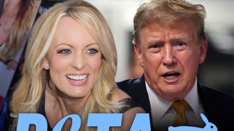 Stormy Daniels appelée par PETA pour une campagne anti-Trump et anti-cruauté envers les chevaux