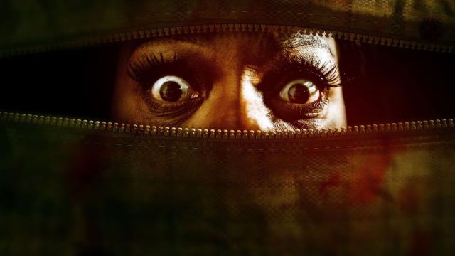 The Domestic (2022) : Regarder et Diffuser en Ligne sur Amazon Prime Video