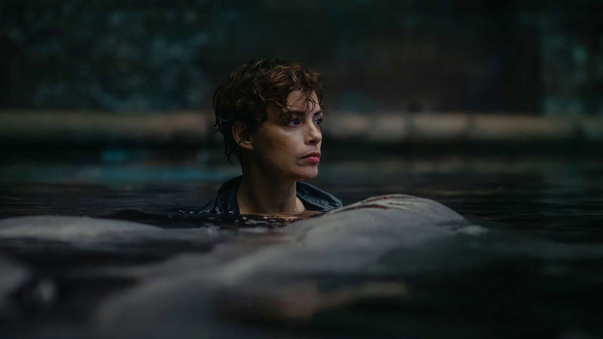 Découvrez les meilleurs films de requin à regarder après “Under Paris”