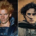 The Original Movie, New Franchise and Upcoming Series