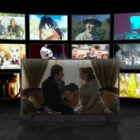 Niche Streaming Services Reduce Churn
