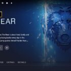 Can You Watch 'The Bear' Season 3 on Disney+?