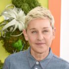 Ellen DeGeneres Says ‘I Am Not Mean’ in Standup Set
