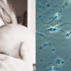 Netflix’s ‘Man With 1000 Kids’ puts a spotlight on the lack of international regulations for sperm donors