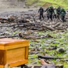 Race to Survive: New Zealand - Season 2