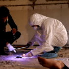 The Real CSI: Miami TV show on CBS: canceled or renewed for season 2?