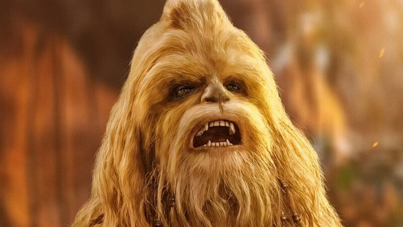 Découvrez les premières images de Star Wars: The Acolyte – Kelnacca #1 avant sa sortie.