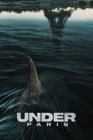 Under Paris Film Poster