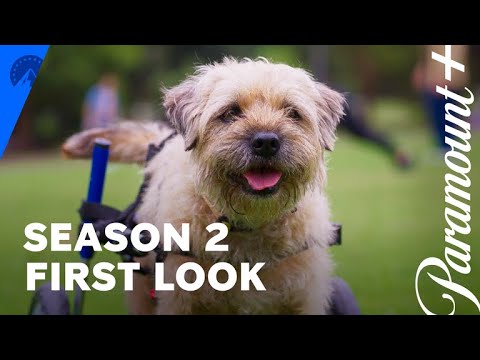 Colin From Accounts – Saison 2 : Découvrez les premières images !