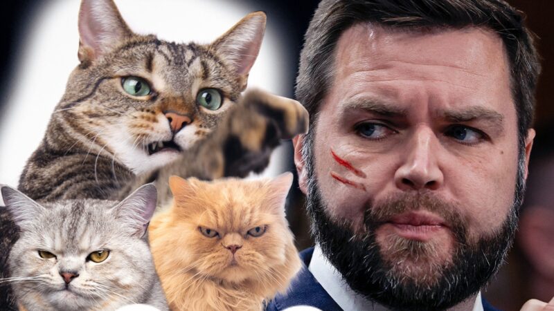 J.D. Vance boude CatCon suite à sa remarque incendiaire sur les femmes sans enfant et les chats