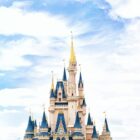 His Wife Died. Disney Says He Can't Sue Because of Disney+